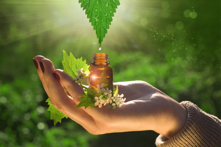 Holistic-Medicine-Clinic A hand holding a vial under a leaf dripping with dew. Get holistic medicine treatment from Dr. Donna Diamond in Louisville/Boulder.