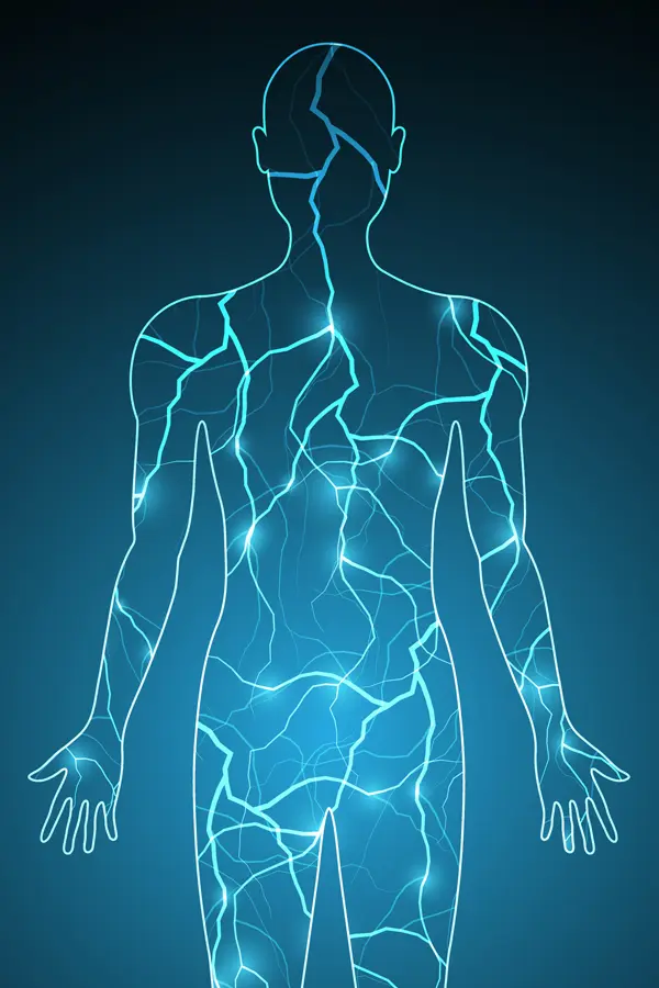 PEMF-Therapy-Treatment An illustration of a human body filled with electrical pulses. Schedule PEMF Pulsed Electromagnetic Field therapy from Dr. Donna Diamond in Louisville/Boulder.