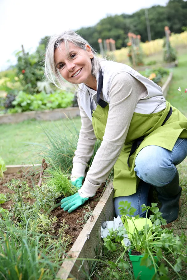 Rheumatoid-Arthritis-Treatment A mature woman bending down working on her garden happily after successful rheumatoid arthritis treatment from Dr. Donna Diamond in Louisville/Boulder.
