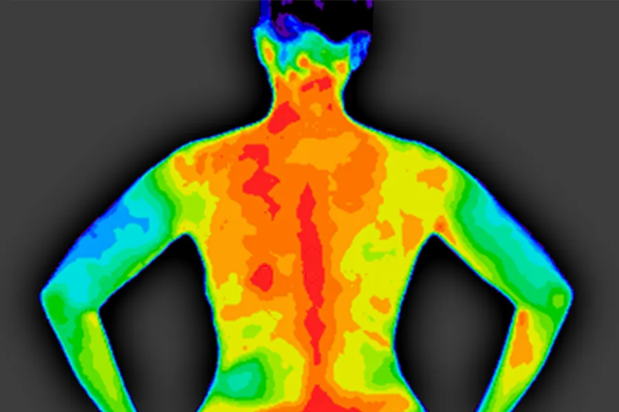 Thermometry-Clinic Thermal imaging of a woman. Get Whole-Body Regulation Thermometry from Dr. Donna Diamond in Louisville/Boulder.